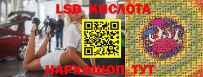 крисы Кулебаки