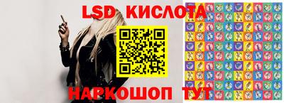 крисы Кулебаки