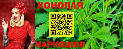 крисы Кулебаки