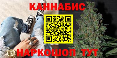 крисы Кулебаки
